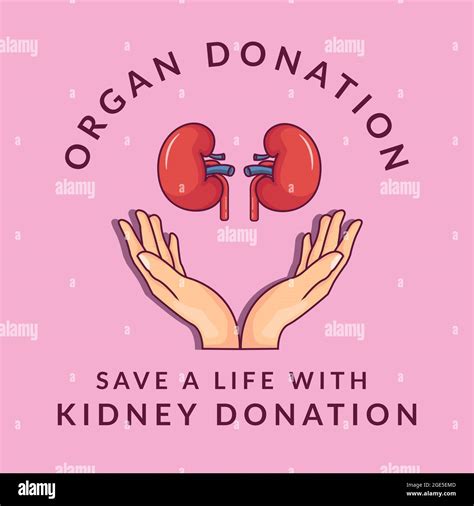 donations clip art|There’s a severe kidney shortage. Should donors be .